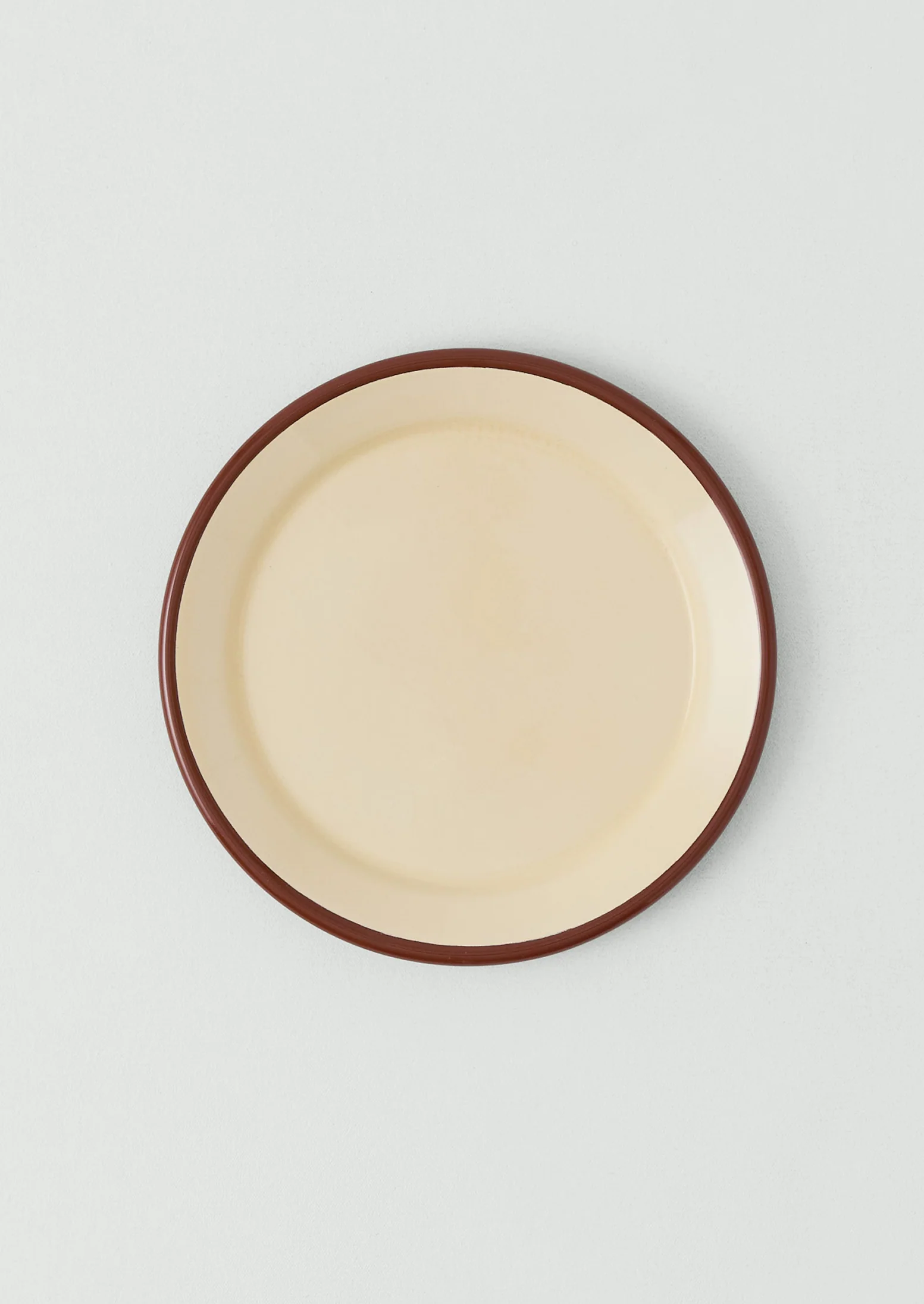 Contrast Rim Enamel Dinner Plate | Mint/Chestnut