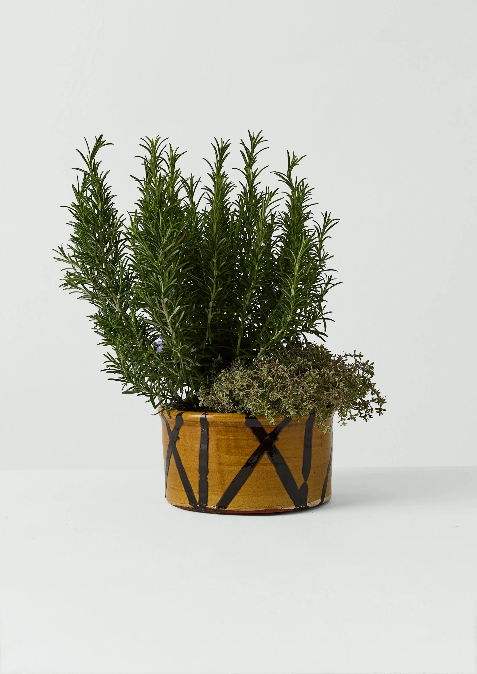 Hoxton Gardenware Large Slipware Planter | Honey - Image 5